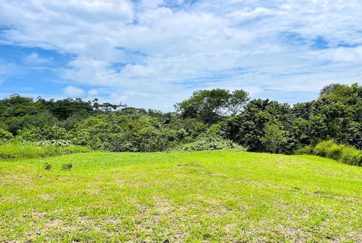 MOUNTAIN VIEW PROPERTY – PHASE 11 LOT 25 – 1.67 Acres