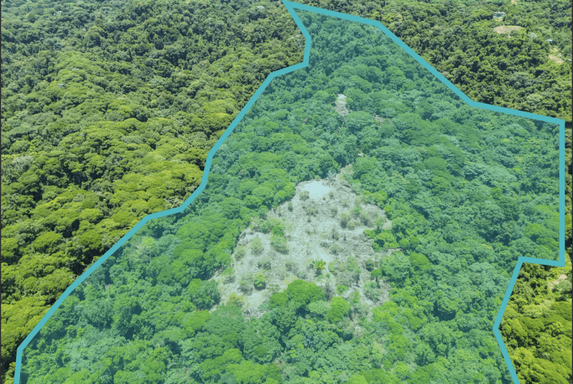 OCEAN AND JUNGLE VIEWS, RIVER AND WALKING DISTANCE TO THE BEACH  – 61.78 ACRES
