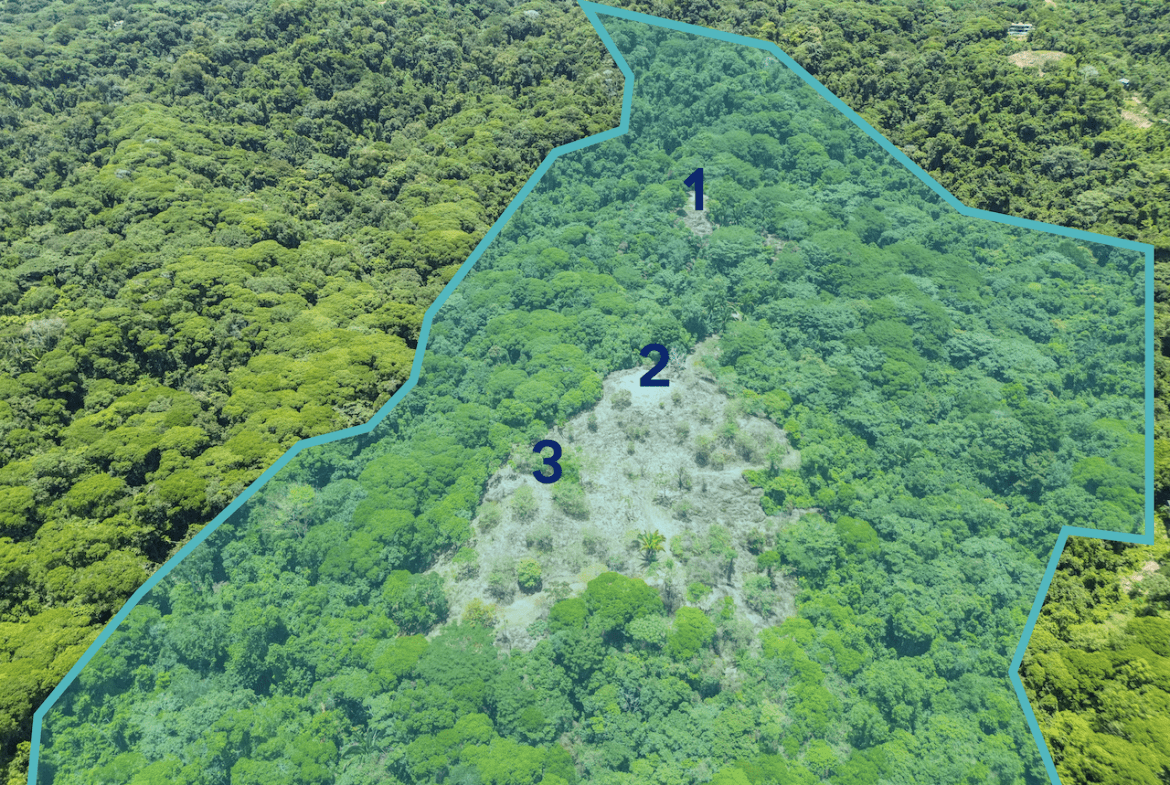 OCEAN AND JUNGLE VIEWS, RIVER AND WALKING DISTANCE TO THE BEACH  – 61.78 ACRES