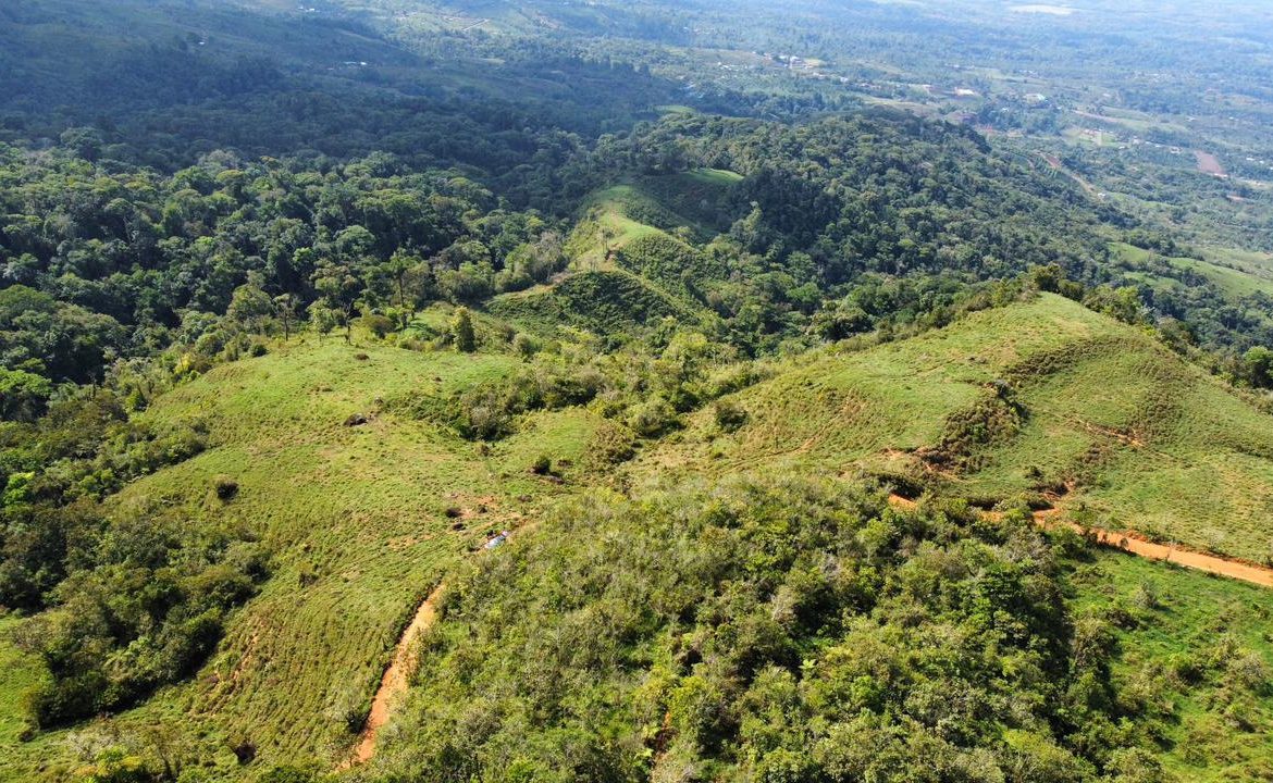 OFF-GRID: NATURE LOVERS ESTATE IN FATIMA DE SAN PEDRO – 90 ACRES