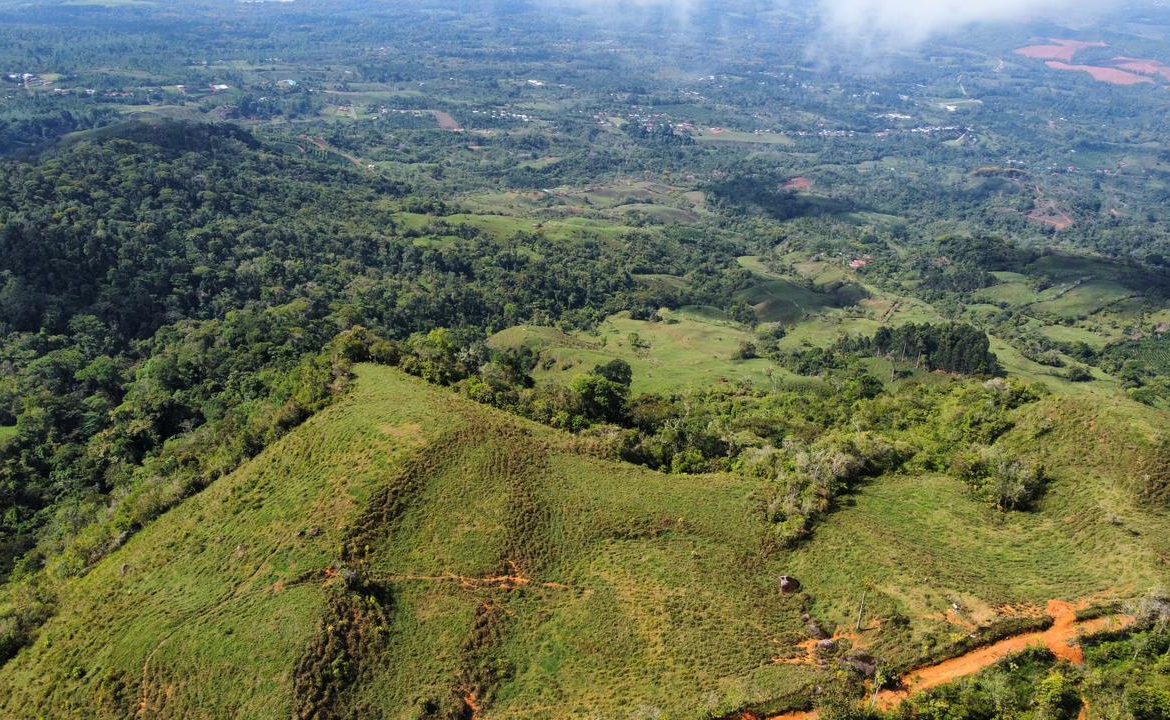 OFF-GRID: NATURE LOVERS ESTATE IN FATIMA DE SAN PEDRO – 90 ACRES