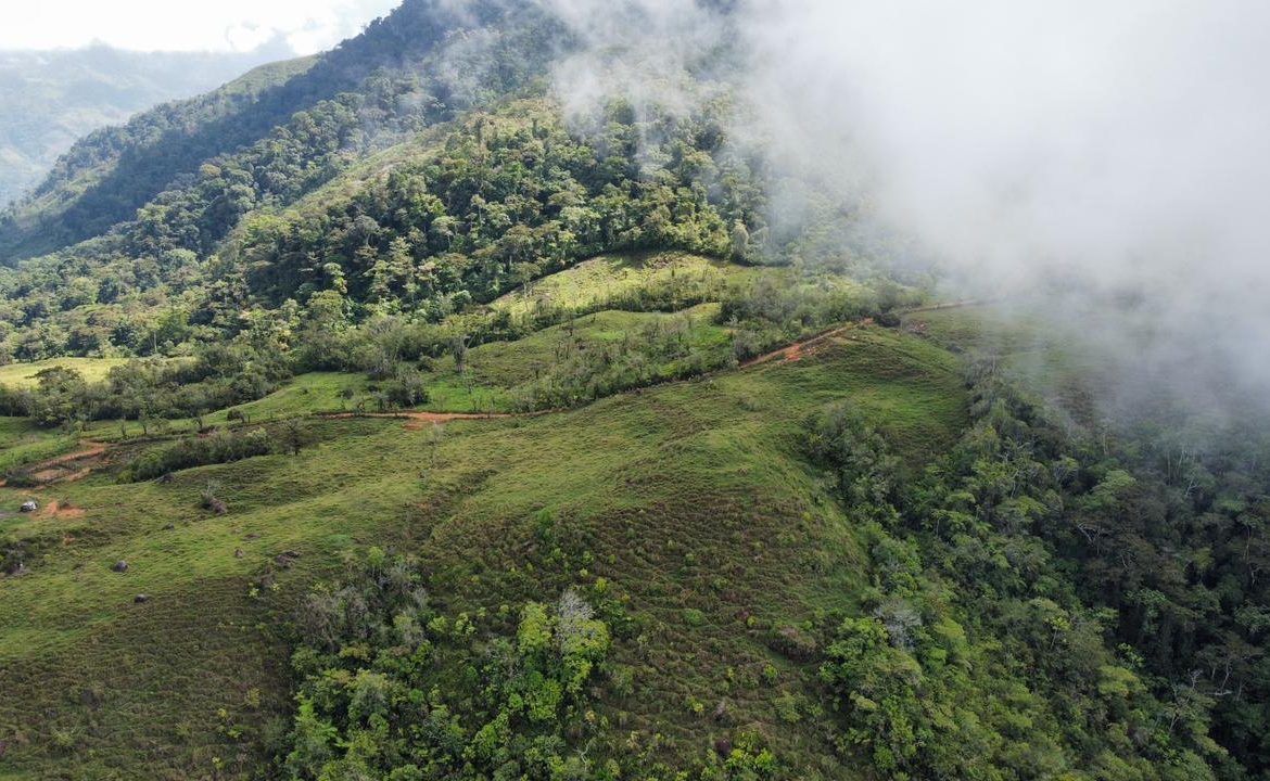 OFF-GRID: NATURE LOVERS ESTATE IN FATIMA DE SAN PEDRO – 90 ACRES