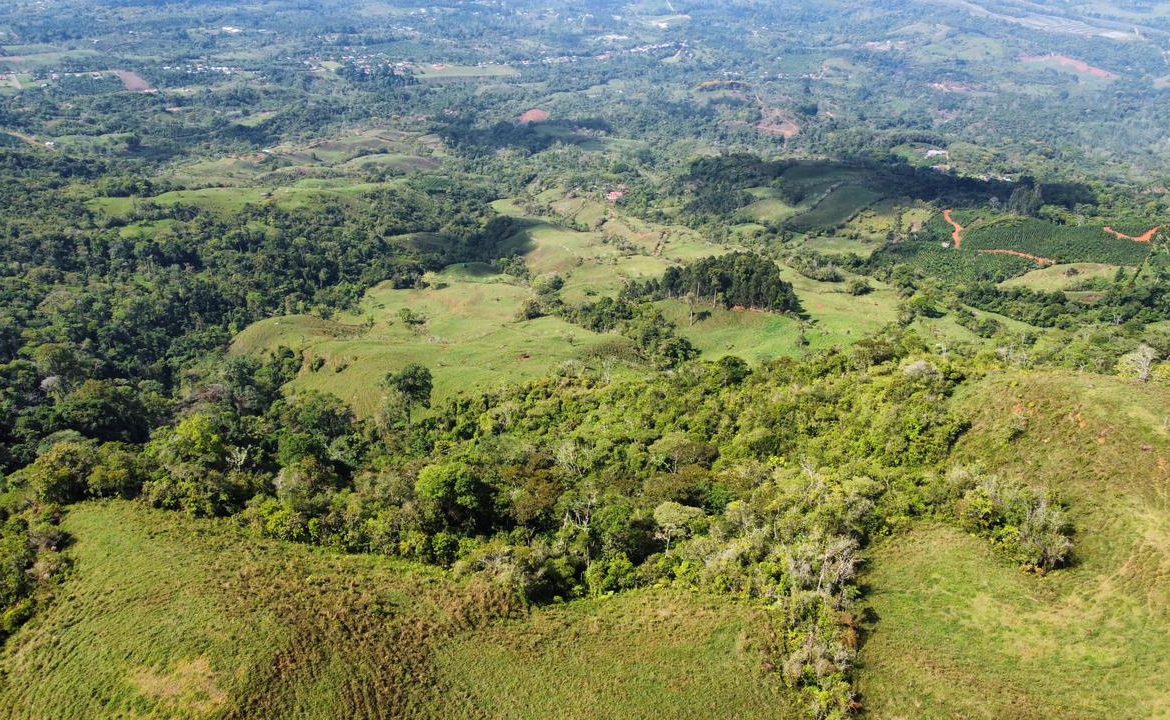 OFF-GRID: NATURE LOVERS ESTATE IN FATIMA DE SAN PEDRO – 90 ACRES