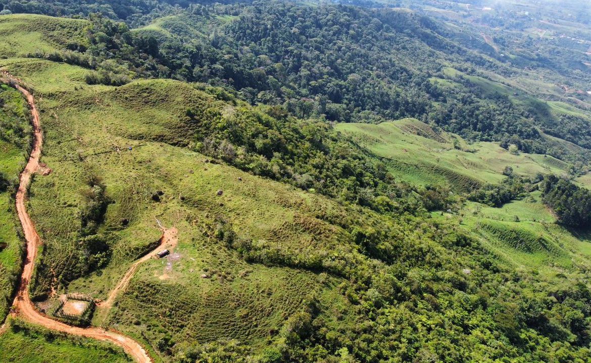 OFF-GRID: NATURE LOVERS ESTATE IN FATIMA DE SAN PEDRO – 90 ACRES
