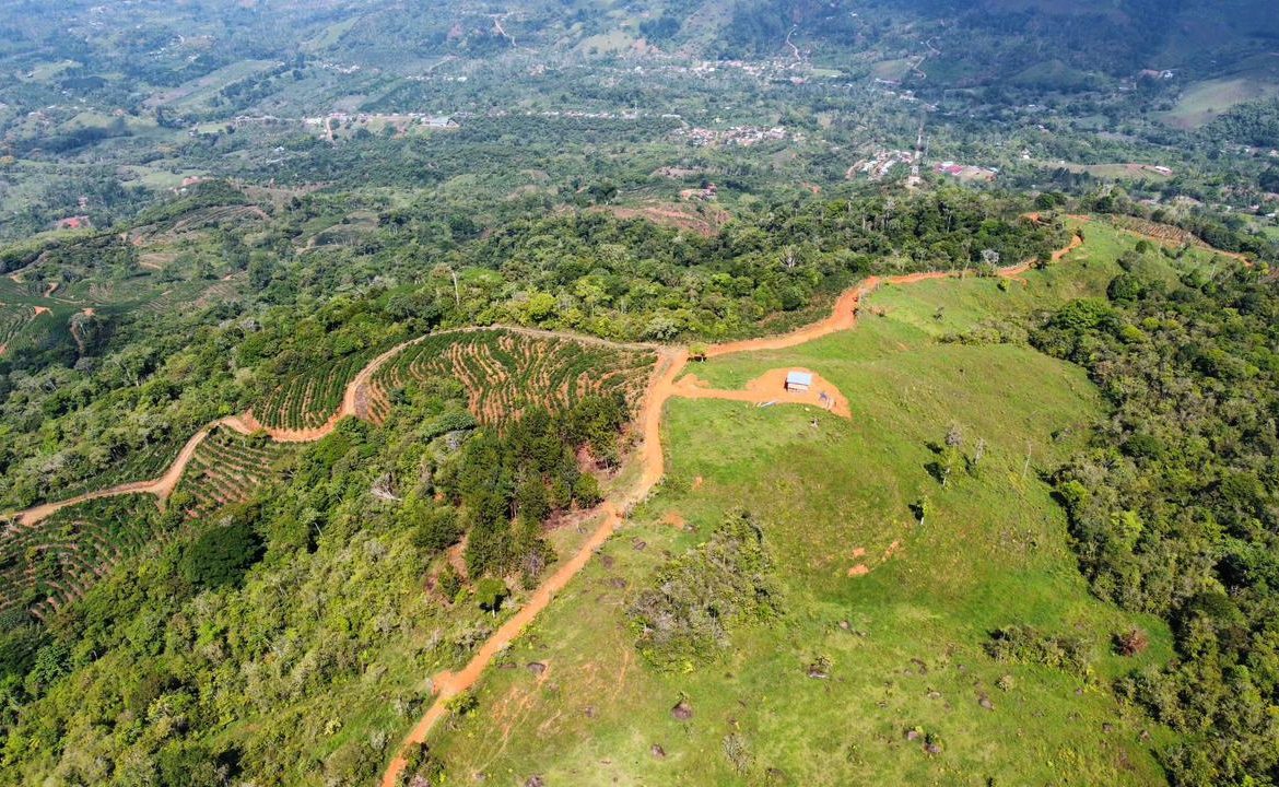OFF-GRID: NATURE LOVERS ESTATE IN FATIMA DE SAN PEDRO – 90 ACRES