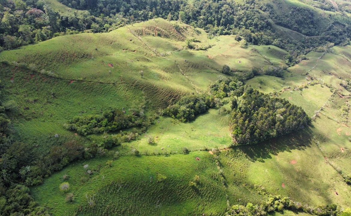 OFF-GRID: NATURE LOVERS ESTATE IN FATIMA DE SAN PEDRO – 90 ACRES