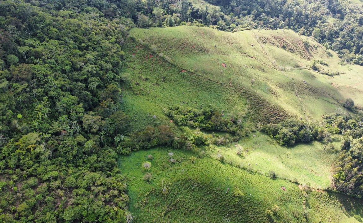 OFF-GRID: NATURE LOVERS ESTATE IN FATIMA DE SAN PEDRO – 90 ACRES