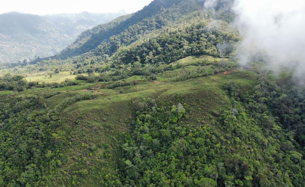 OFF-GRID: NATURE LOVERS ESTATE IN FATIMA DE SAN PEDRO – 90 ACRES