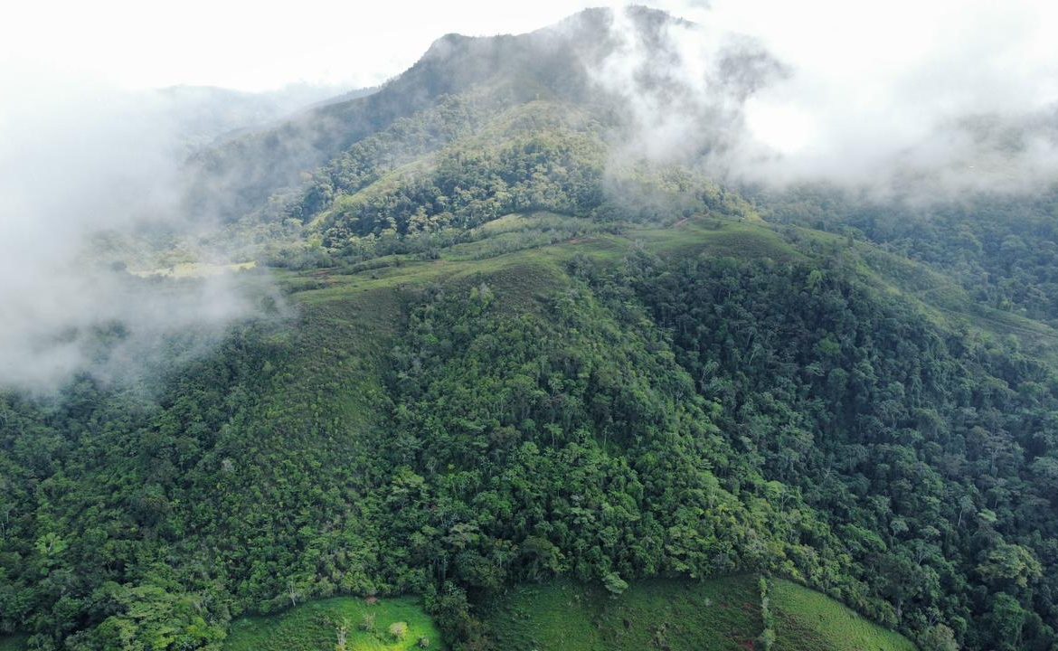 OFF-GRID: NATURE LOVERS ESTATE IN FATIMA DE SAN PEDRO – 90 ACRES