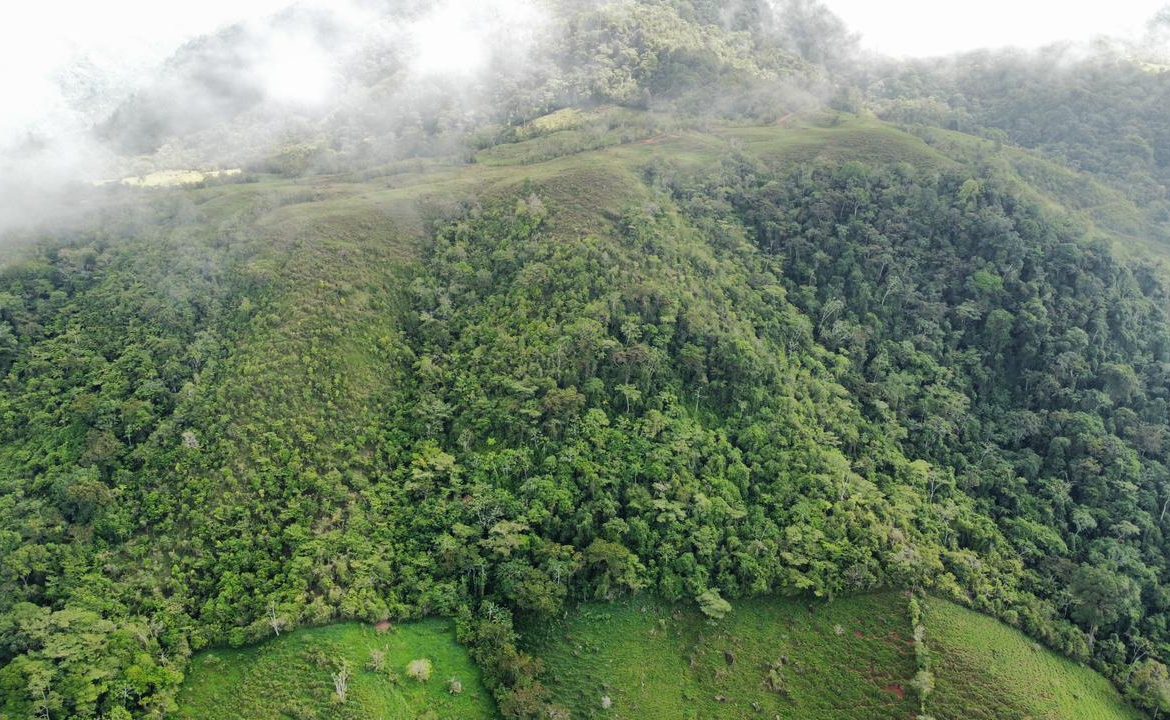 OFF-GRID: NATURE LOVERS ESTATE IN FATIMA DE SAN PEDRO – 90 ACRES