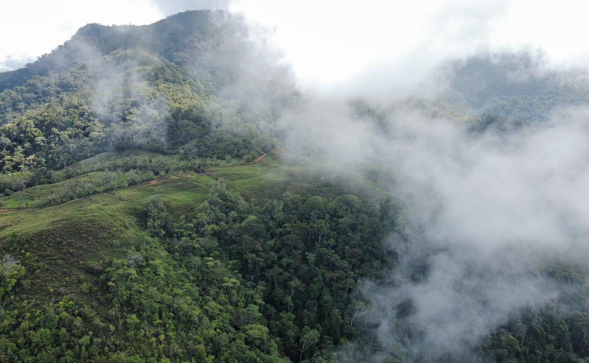 OFF-GRID: NATURE LOVERS ESTATE IN FATIMA DE SAN PEDRO – 90 ACRES