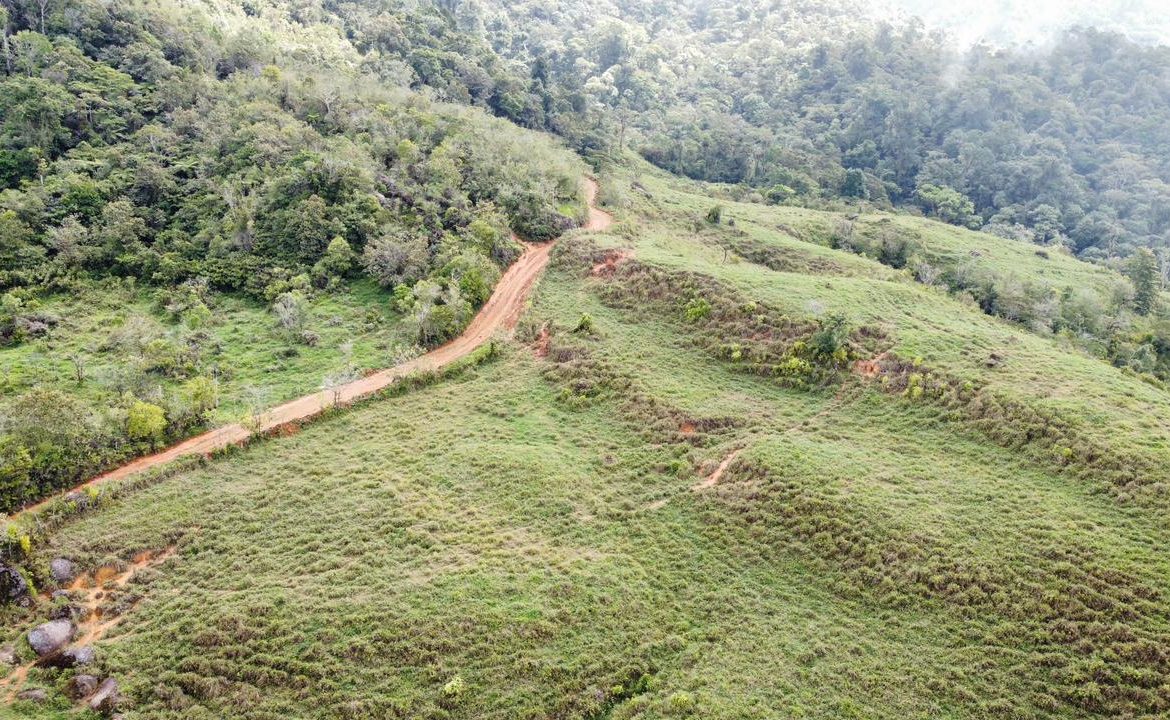 OFF-GRID: NATURE LOVERS ESTATE IN FATIMA DE SAN PEDRO – 90 ACRES