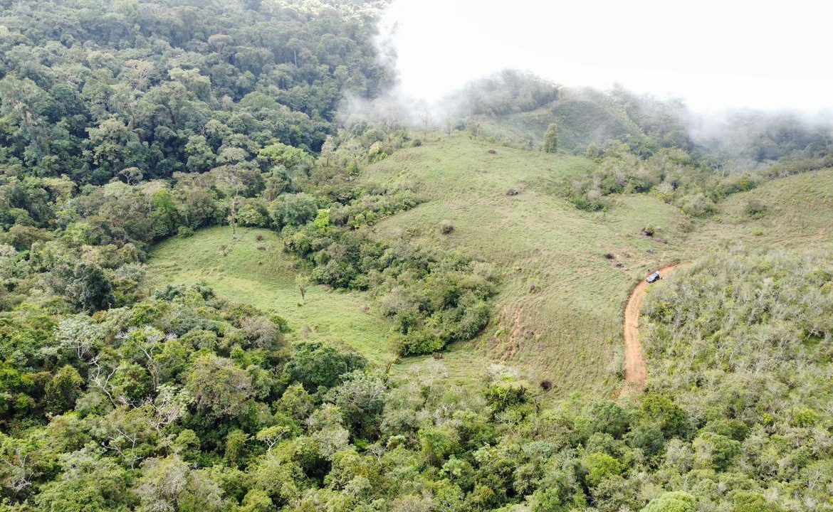 OFF-GRID: NATURE LOVERS ESTATE IN FATIMA DE SAN PEDRO – 90 ACRES