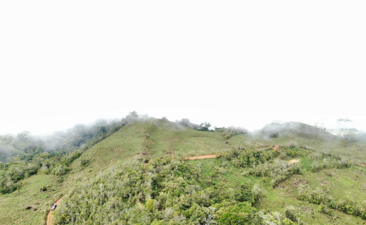 OFF-GRID: NATURE LOVERS ESTATE IN FATIMA DE SAN PEDRO – 90 ACRES