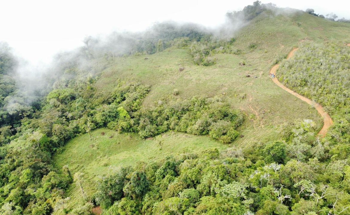 OFF-GRID: NATURE LOVERS ESTATE IN FATIMA DE SAN PEDRO – 90 ACRES