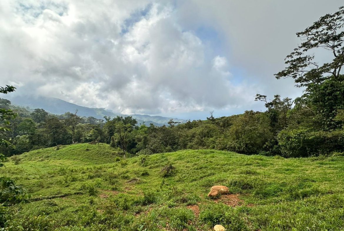 OFF-GRID: NATURE LOVERS ESTATE IN FATIMA DE SAN PEDRO – 90 ACRES