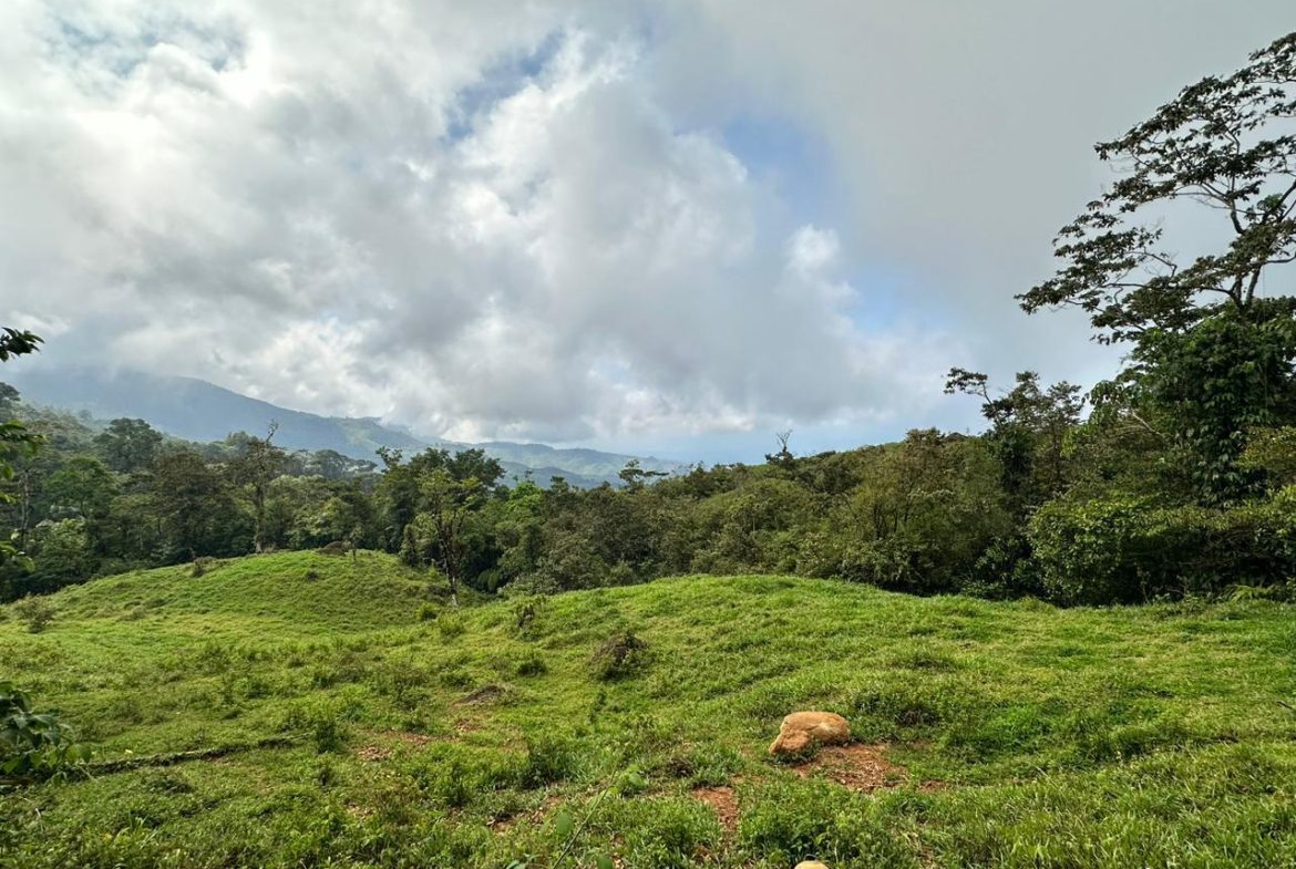 OFF-GRID: NATURE LOVERS ESTATE IN FATIMA DE SAN PEDRO – 90 ACRES