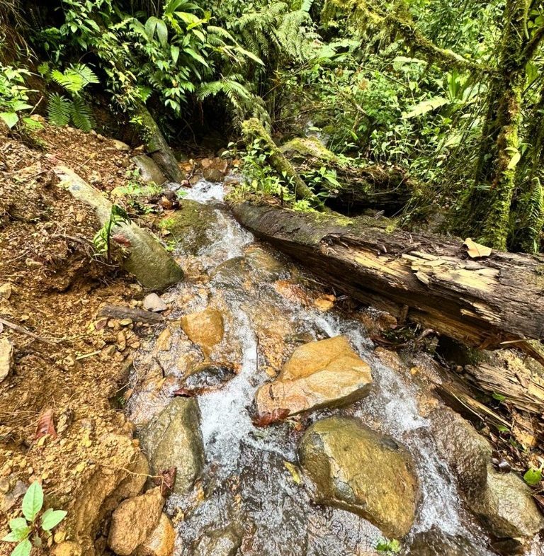 OFF-GRID: NATURE LOVERS ESTATE IN FATIMA DE SAN PEDRO – 90 ACRES