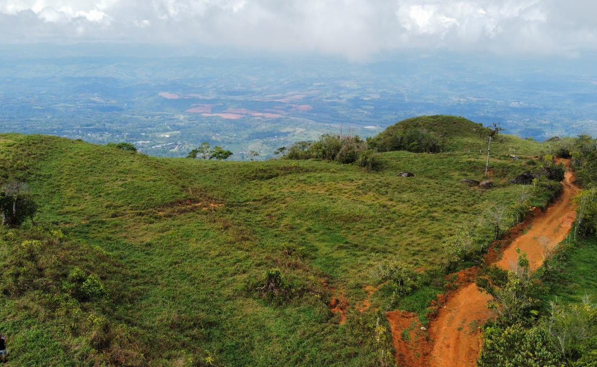 OFF-GRID: NATURE LOVERS ESTATE IN FATIMA DE SAN PEDRO – 90 ACRES