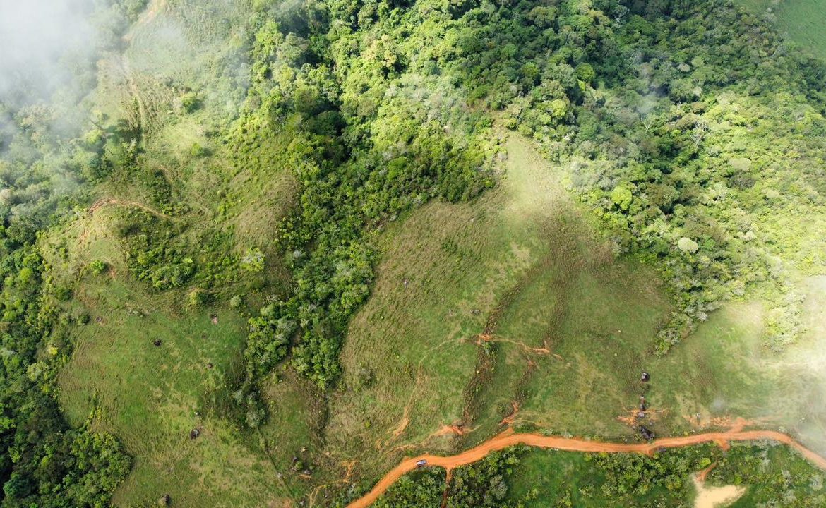 OFF-GRID: NATURE LOVERS ESTATE IN FATIMA DE SAN PEDRO – 90 ACRES