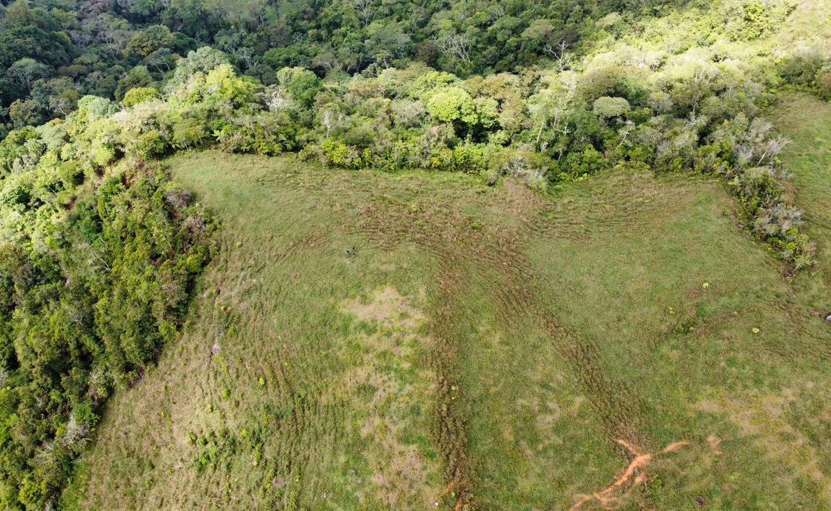 OFF-GRID: NATURE LOVERS ESTATE IN FATIMA DE SAN PEDRO – 90 ACRES