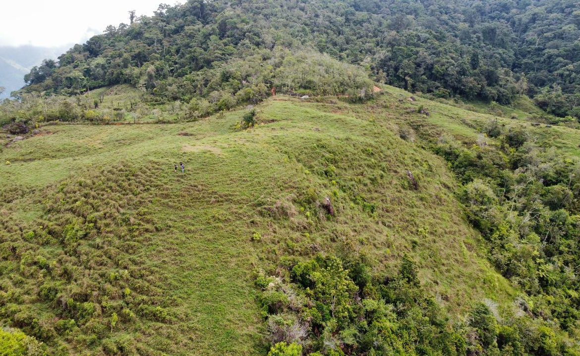 OFF-GRID: NATURE LOVERS ESTATE IN FATIMA DE SAN PEDRO – 90 ACRES