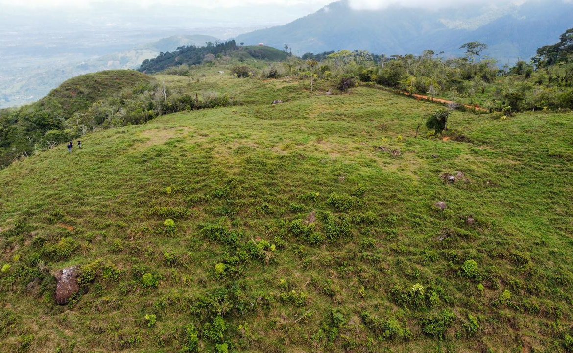 OFF-GRID: NATURE LOVERS ESTATE IN FATIMA DE SAN PEDRO – 90 ACRES