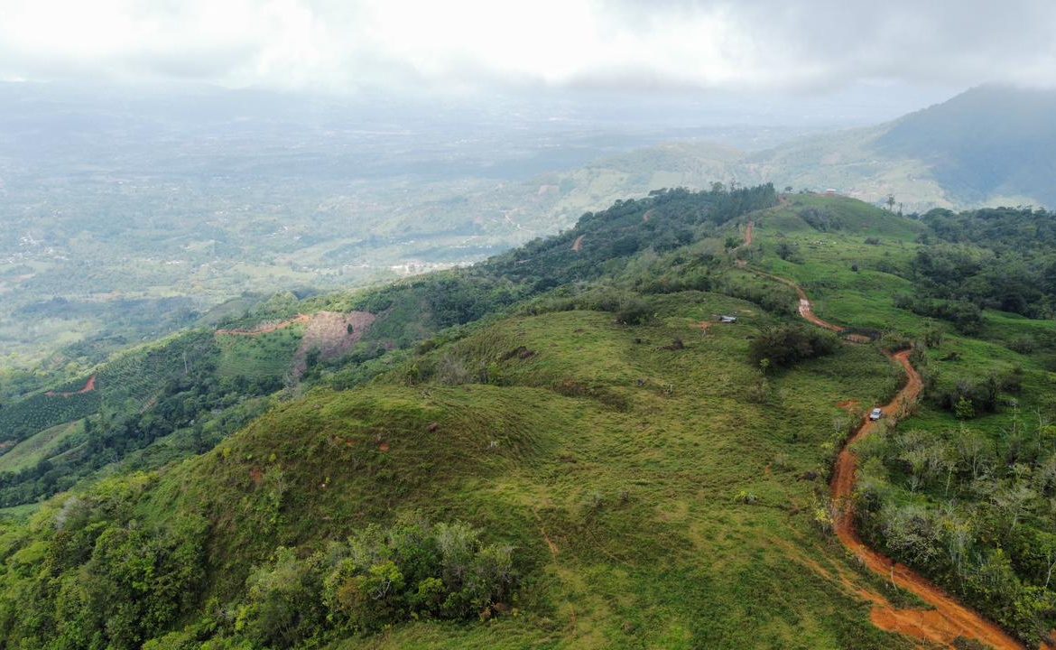 OFF-GRID: NATURE LOVERS ESTATE IN FATIMA DE SAN PEDRO – 90 ACRES