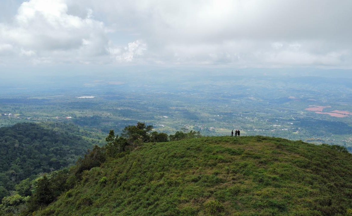 OFF-GRID: NATURE LOVERS ESTATE IN FATIMA DE SAN PEDRO – 90 ACRES
