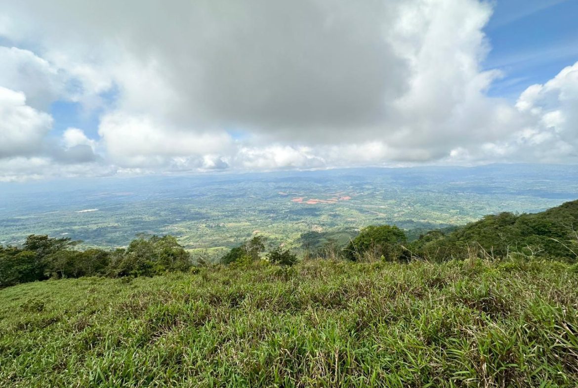 OFF-GRID: NATURE LOVERS ESTATE IN FATIMA DE SAN PEDRO – 90 ACRES