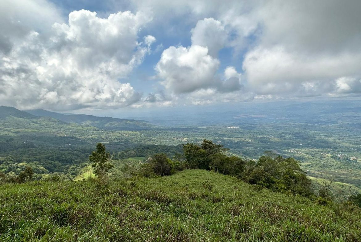 OFF-GRID: NATURE LOVERS ESTATE IN FATIMA DE SAN PEDRO – 90 ACRES