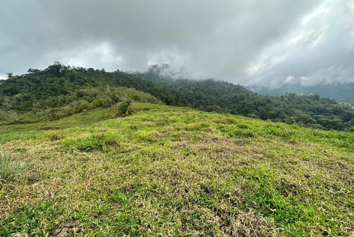 OFF-GRID: NATURE LOVERS ESTATE IN FATIMA DE SAN PEDRO – 90 ACRES