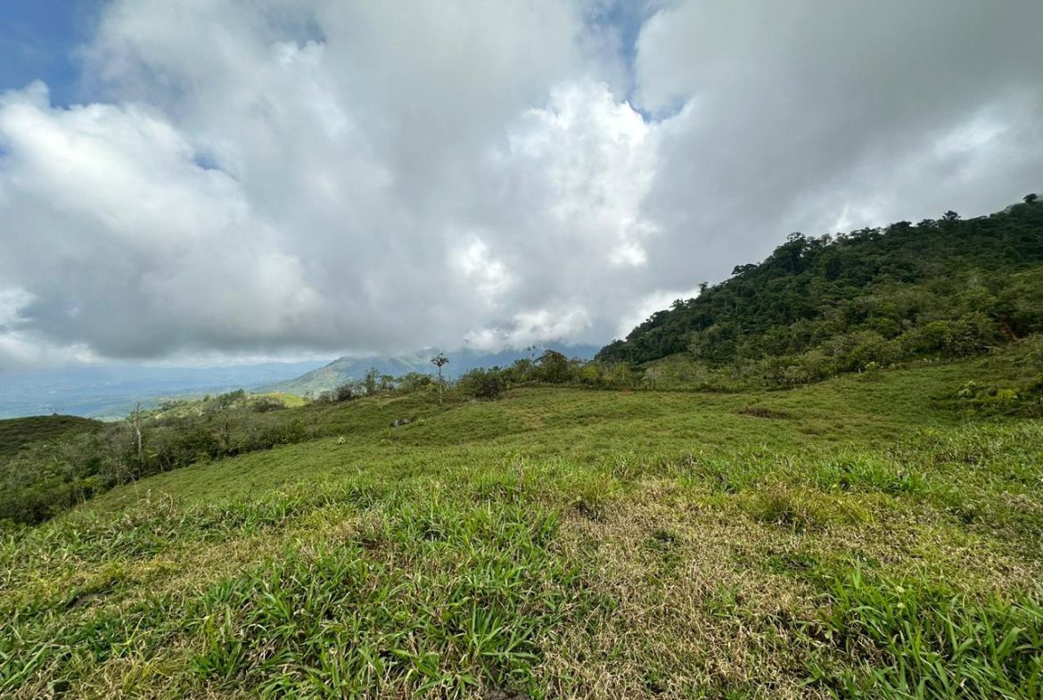 OFF-GRID: NATURE LOVERS ESTATE IN FATIMA DE SAN PEDRO – 90 ACRES