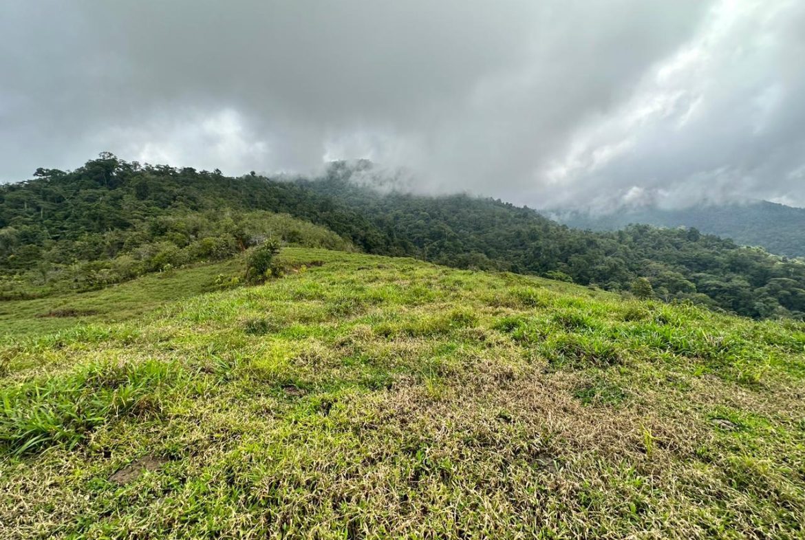OFF-GRID: NATURE LOVERS ESTATE IN FATIMA DE SAN PEDRO – 90 ACRES