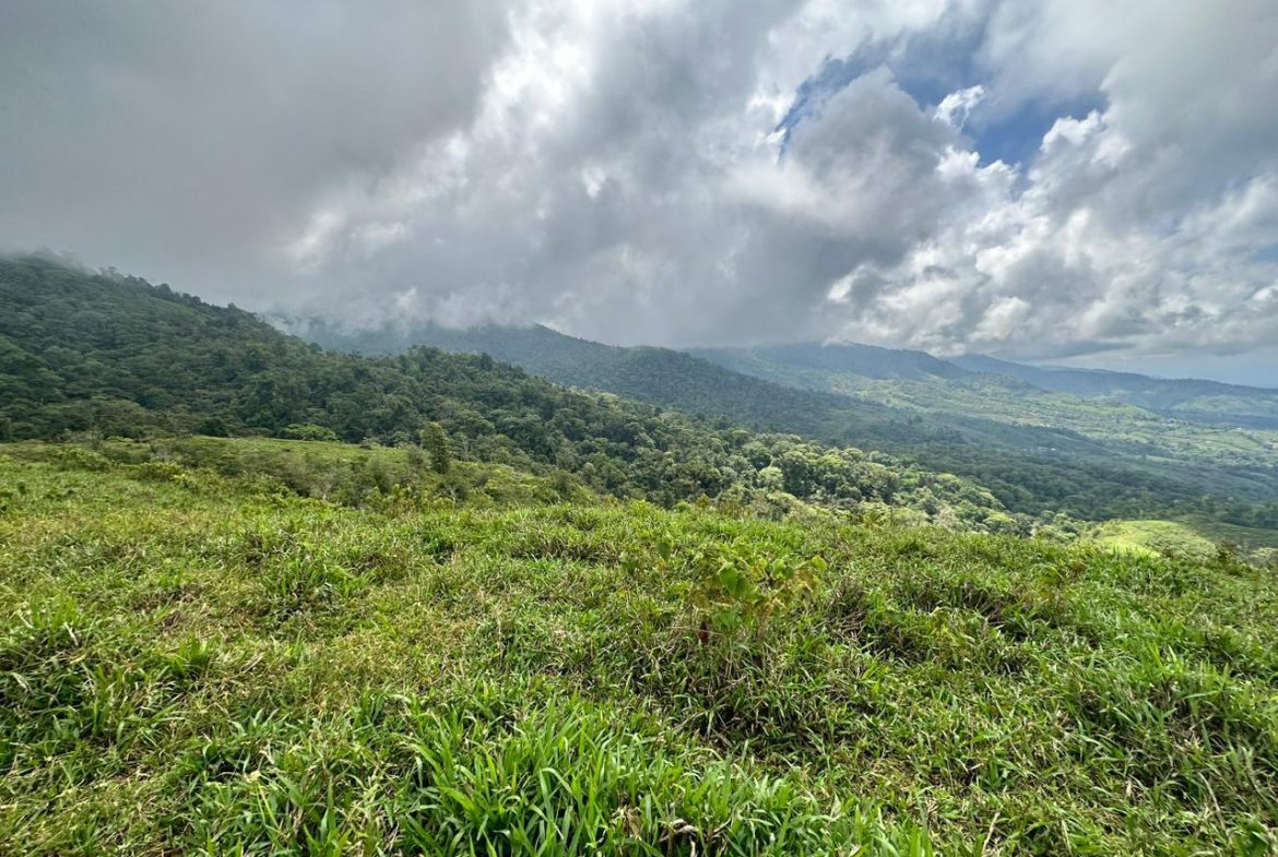 OFF-GRID: NATURE LOVERS ESTATE IN FATIMA DE SAN PEDRO – 90 ACRES