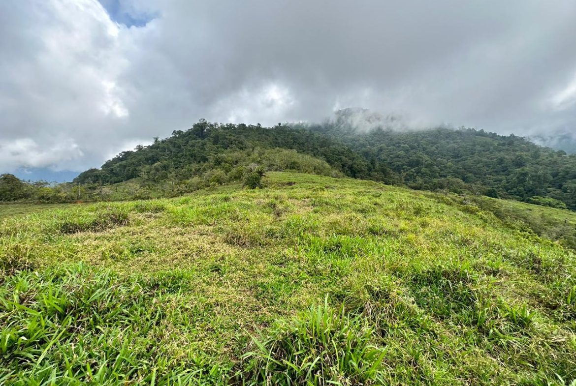 OFF-GRID: NATURE LOVERS ESTATE IN FATIMA DE SAN PEDRO – 90 ACRES