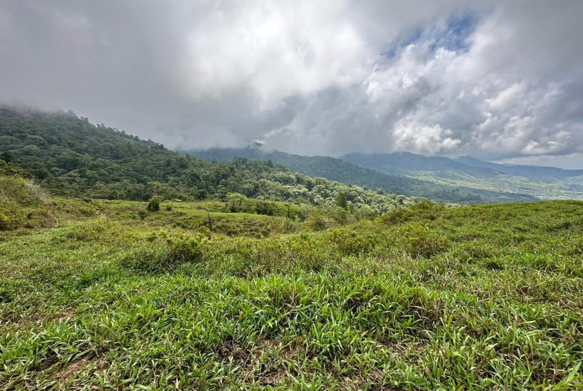 OFF-GRID: NATURE LOVERS ESTATE IN FATIMA DE SAN PEDRO – 90 ACRES