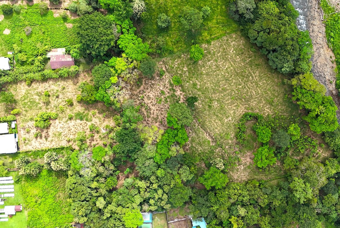 COMMERCIAL PROPERTY WITH AGRICULTURAL LAND IN UVITA – 10.67 Acres