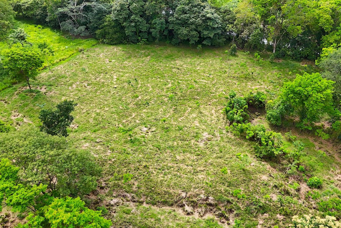 COMMERCIAL PROPERTY WITH AGRICULTURAL LAND IN UVITA – 10.67 Acres