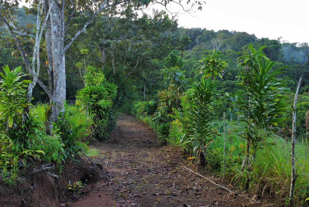 EXCEPTIONAL PROPERTY IN LA LINDA DE GENERAL VIEJO – A DEVELOPER’S DREAM WITH NATURAL SPLENDOR AND PRIME LOCATION – 25 acres