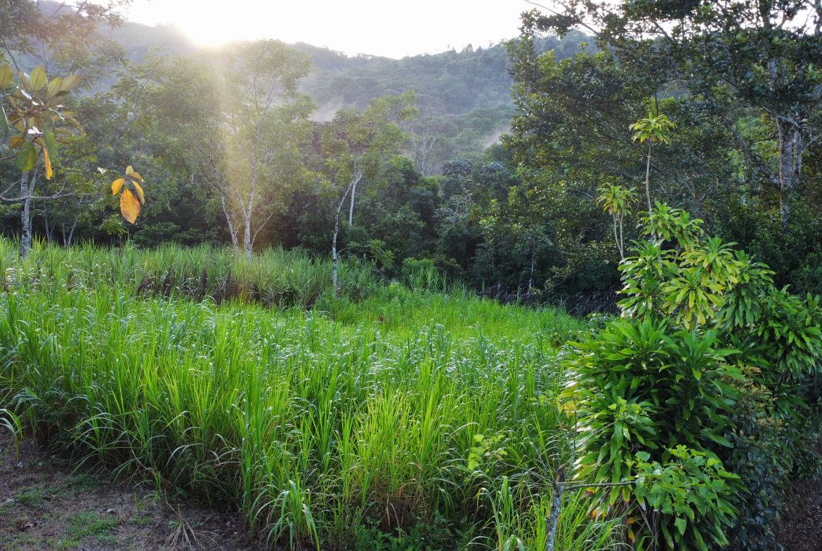 EXCEPTIONAL PROPERTY IN LA LINDA DE GENERAL VIEJO – A DEVELOPER’S DREAM WITH NATURAL SPLENDOR AND PRIME LOCATION – 25 acres