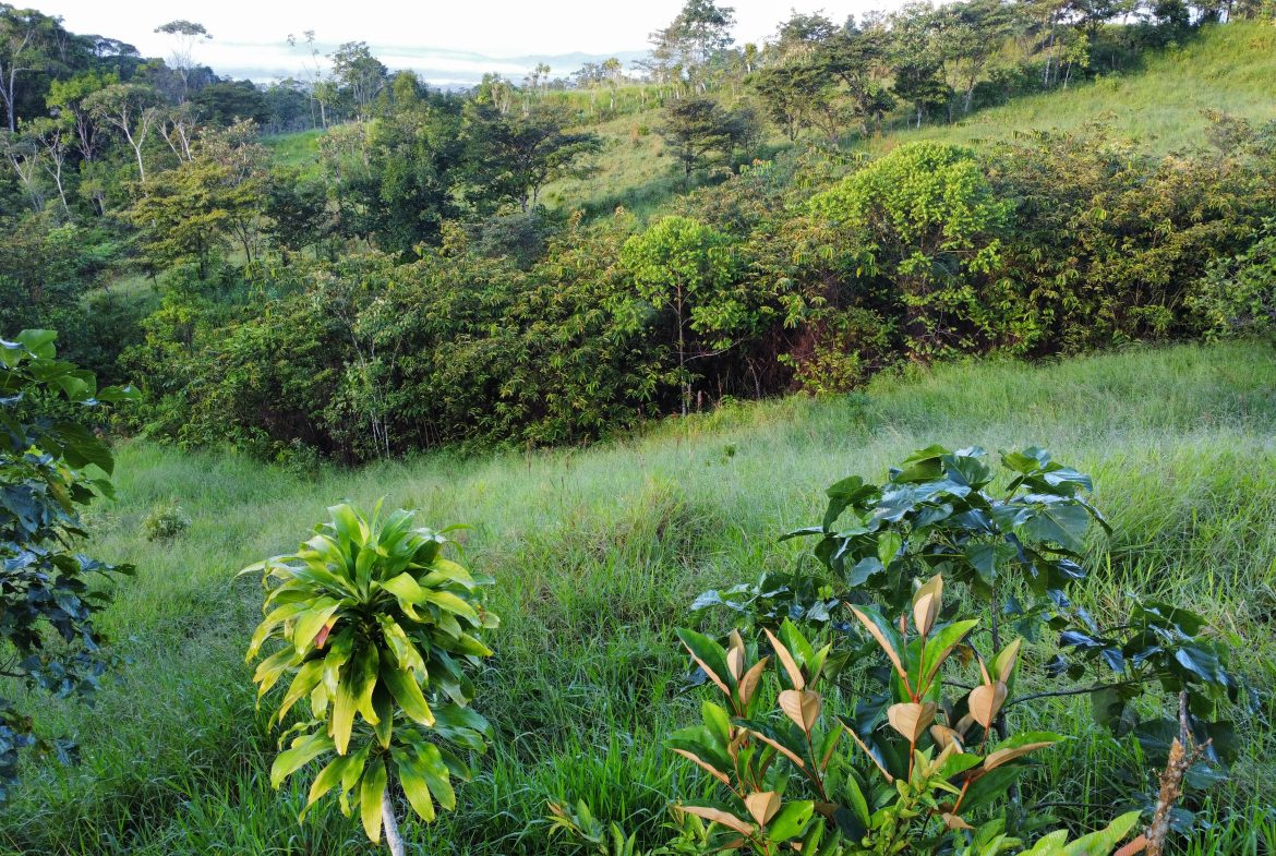 EXCEPTIONAL PROPERTY IN LA LINDA DE GENERAL VIEJO – A DEVELOPER’S DREAM WITH NATURAL SPLENDOR AND PRIME LOCATION – 25 acres
