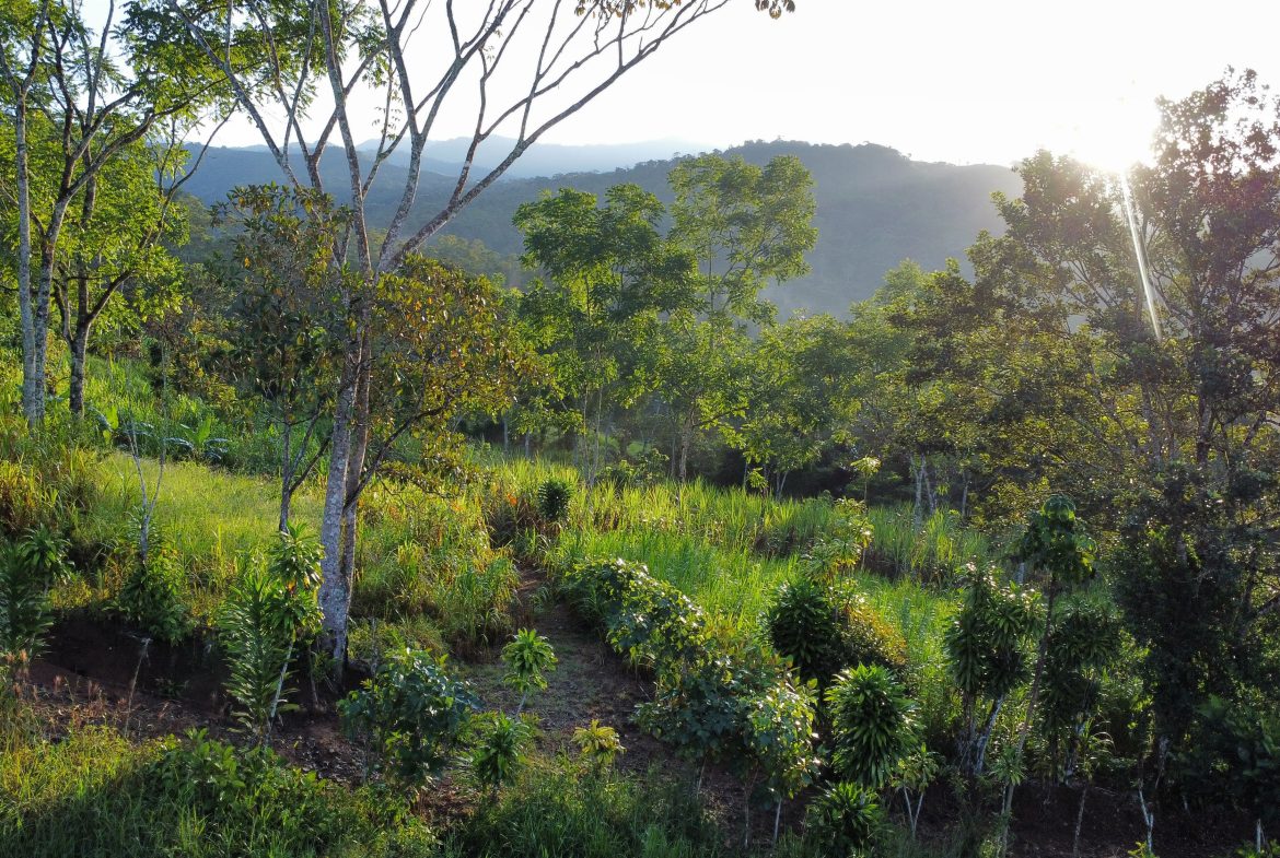 EXCEPTIONAL PROPERTY IN LA LINDA DE GENERAL VIEJO – A DEVELOPER’S DREAM WITH NATURAL SPLENDOR AND PRIME LOCATION – 25 acres