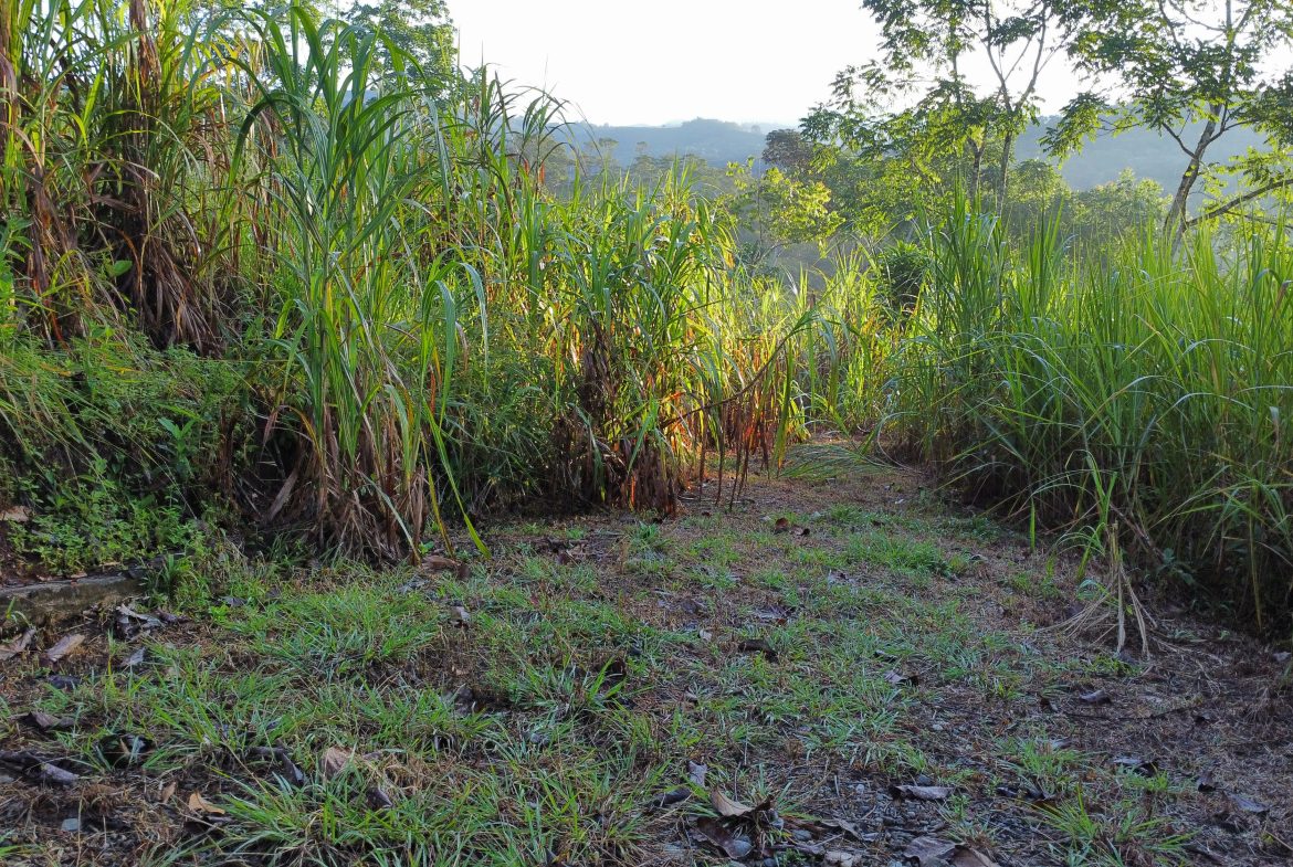 EXCEPTIONAL PROPERTY IN LA LINDA DE GENERAL VIEJO – A DEVELOPER’S DREAM WITH NATURAL SPLENDOR AND PRIME LOCATION – 25 acres