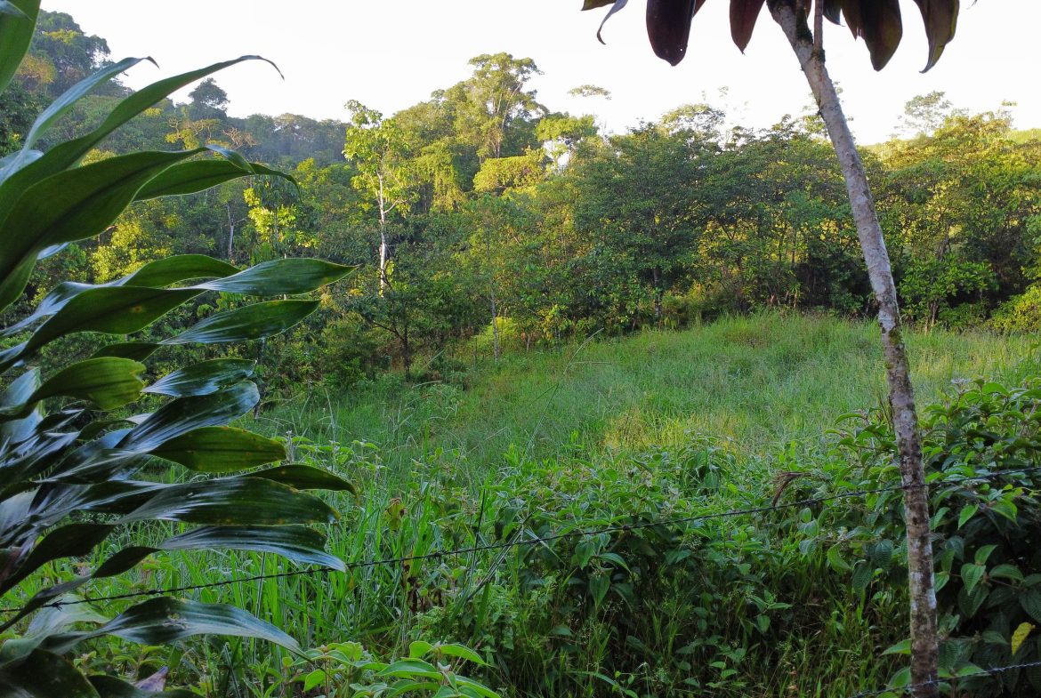 EXCEPTIONAL PROPERTY IN LA LINDA DE GENERAL VIEJO – A DEVELOPER’S DREAM WITH NATURAL SPLENDOR AND PRIME LOCATION – 25 acres