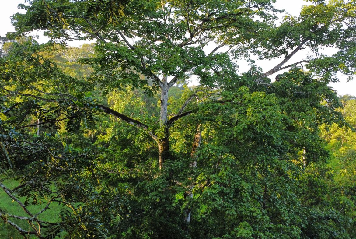 EXCEPTIONAL PROPERTY IN LA LINDA DE GENERAL VIEJO – A DEVELOPER’S DREAM WITH NATURAL SPLENDOR AND PRIME LOCATION – 25 acres