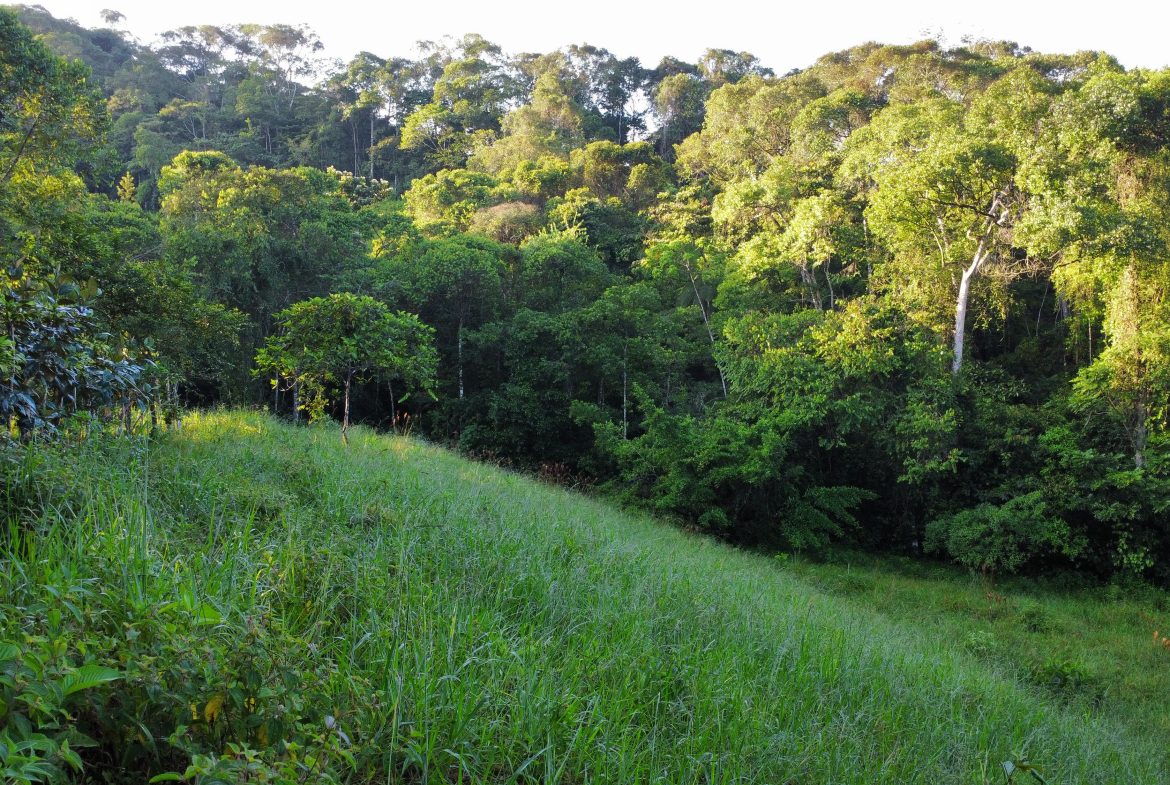 EXCEPTIONAL PROPERTY IN LA LINDA DE GENERAL VIEJO – A DEVELOPER’S DREAM WITH NATURAL SPLENDOR AND PRIME LOCATION – 25 acres