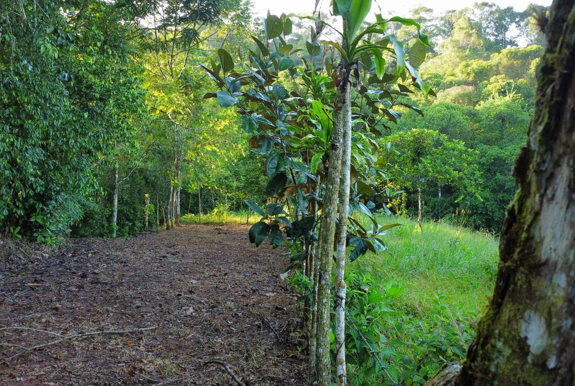 EXCEPTIONAL PROPERTY IN LA LINDA DE GENERAL VIEJO – A DEVELOPER’S DREAM WITH NATURAL SPLENDOR AND PRIME LOCATION – 25 acres