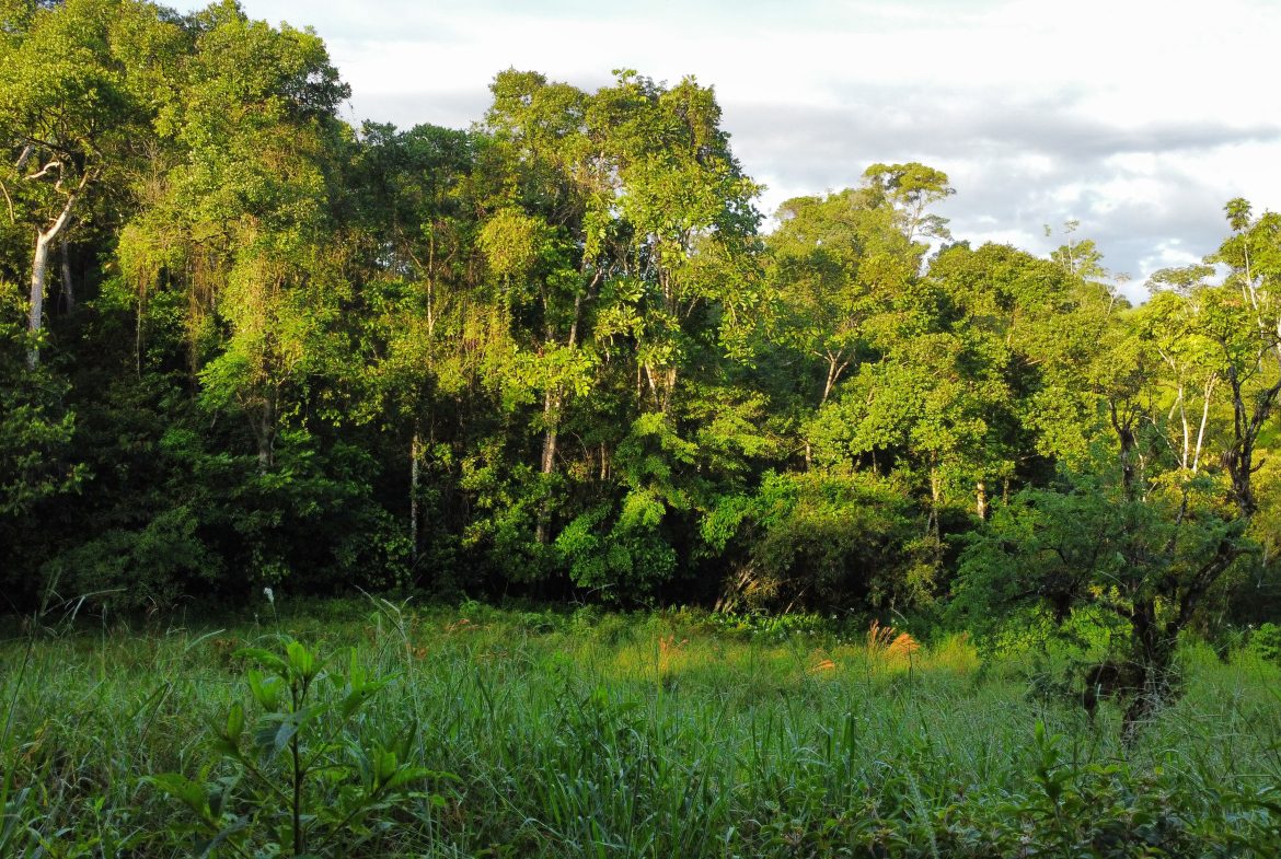 EXCEPTIONAL PROPERTY IN LA LINDA DE GENERAL VIEJO – A DEVELOPER’S DREAM WITH NATURAL SPLENDOR AND PRIME LOCATION – 25 acres