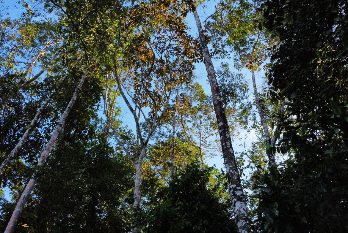 EXCEPTIONAL PROPERTY IN LA LINDA DE GENERAL VIEJO – A DEVELOPER’S DREAM WITH NATURAL SPLENDOR AND PRIME LOCATION – 25 acres